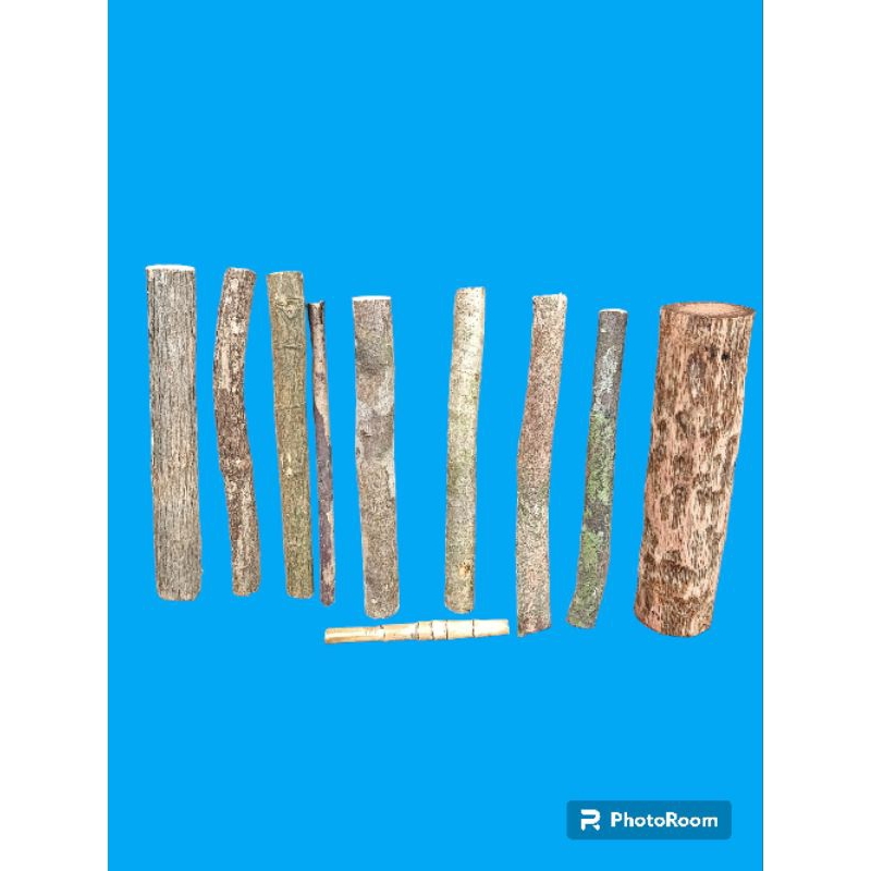 kayu bertuah kalimantan 10 jenis