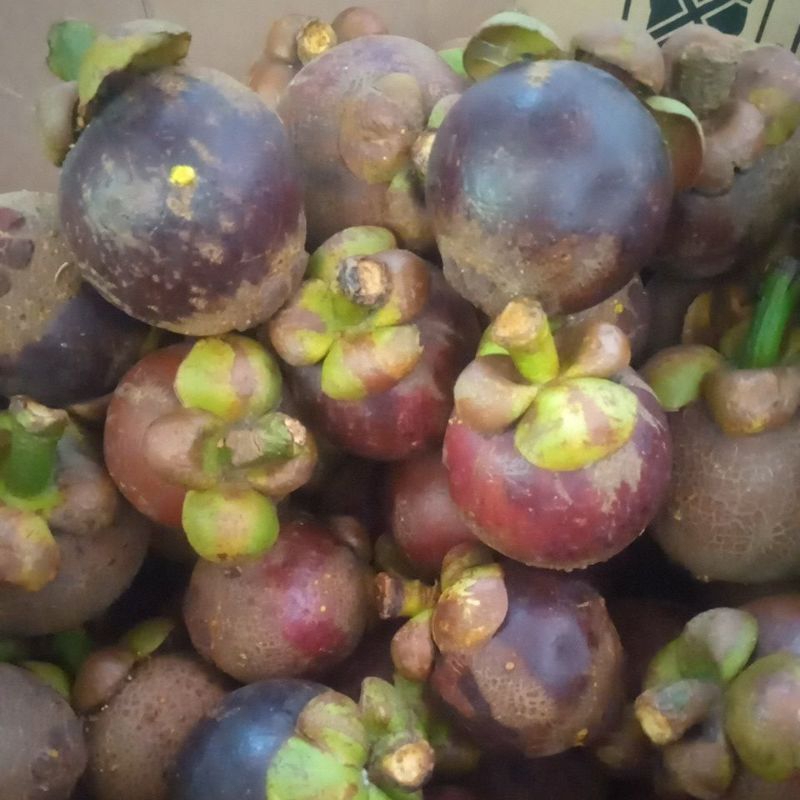 

BUAH MAGGIS MANIS 1000GR /1KG