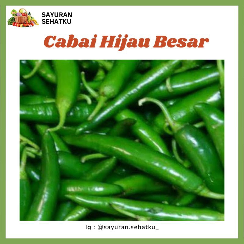 

Cabai Hijau Besar Fresh