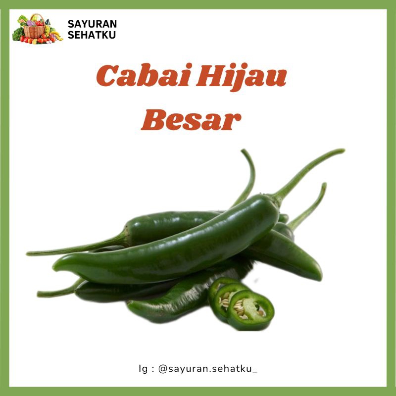 

Cabai Besar Hijau 100gram