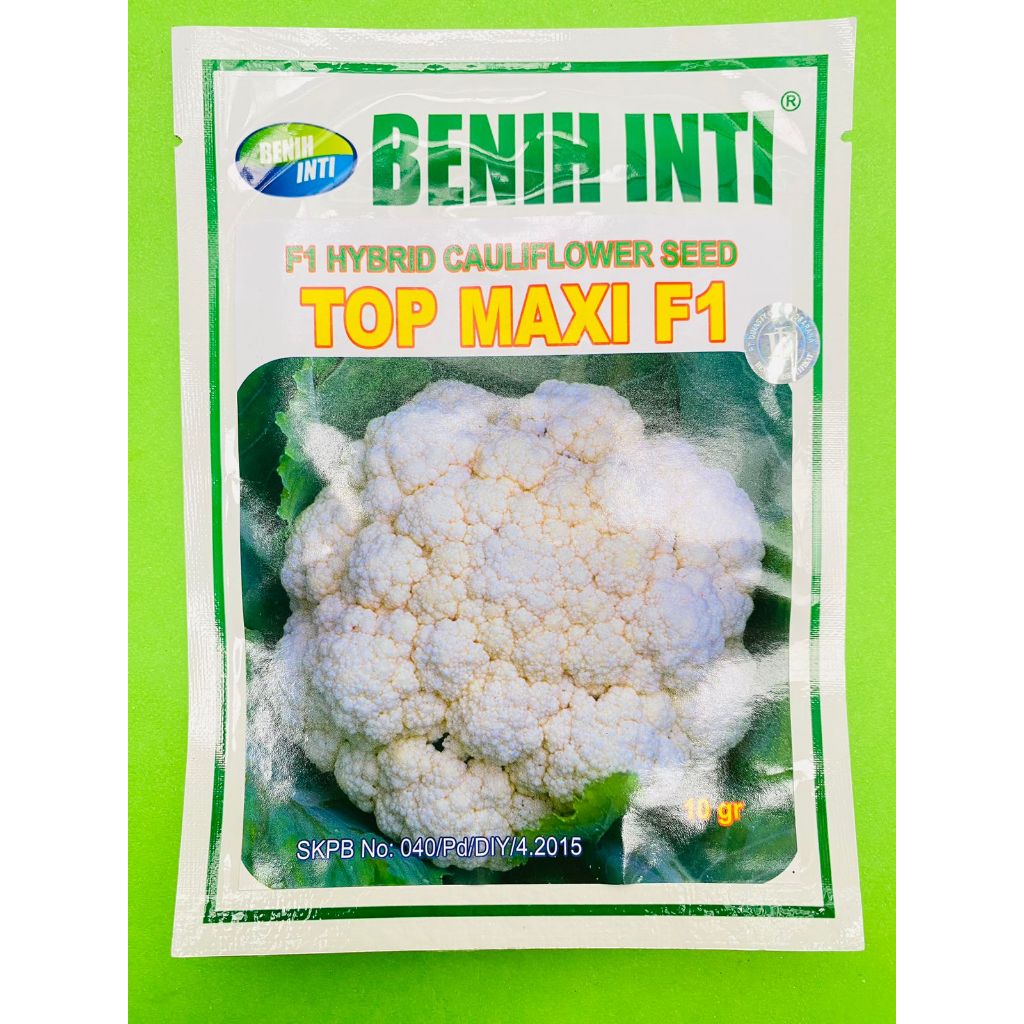 Benih Kol TOP MAXI F1 isi 10gr dr PT Dinasty Inti Agrosarana