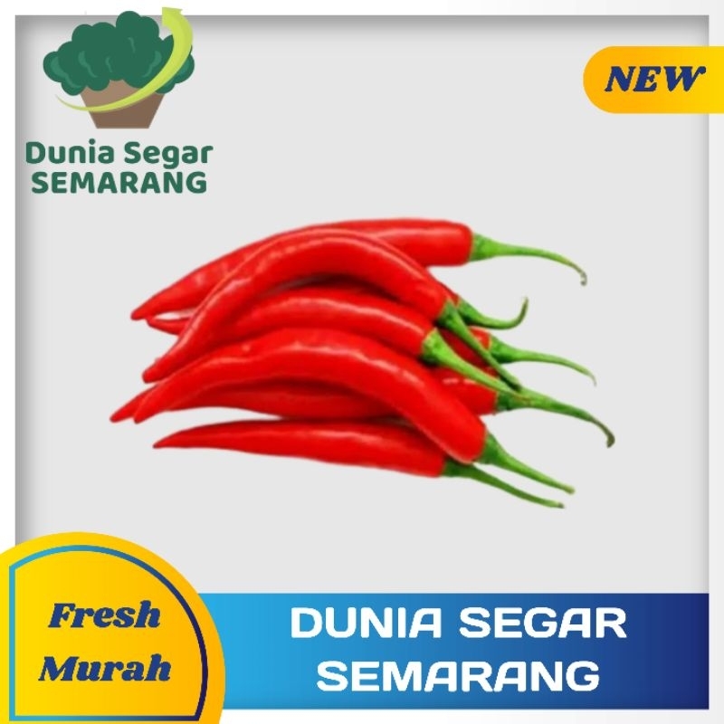 

Cabai Merah Besar Lompong