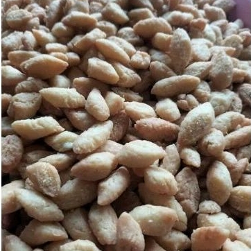

biji ketapang 500gr empuk renyah