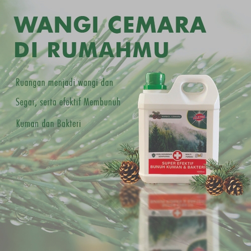 KLINOL Karbol Lantai Antibacterial Wangi Cemara 1000ml / 1 liter Obat Pel Lantai Murah Bersih Keset 