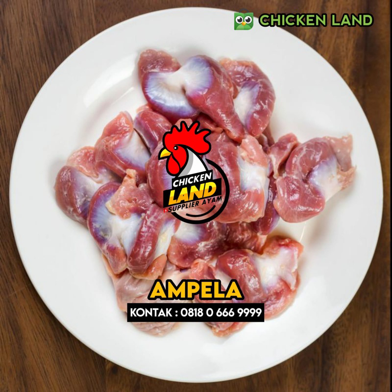 

Ampela Ayam pack 1Kg ( FROZEN )