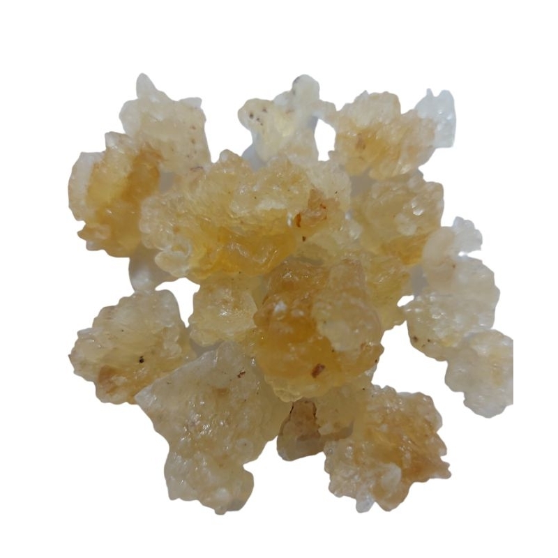 

Snow Bird Nest 100gr