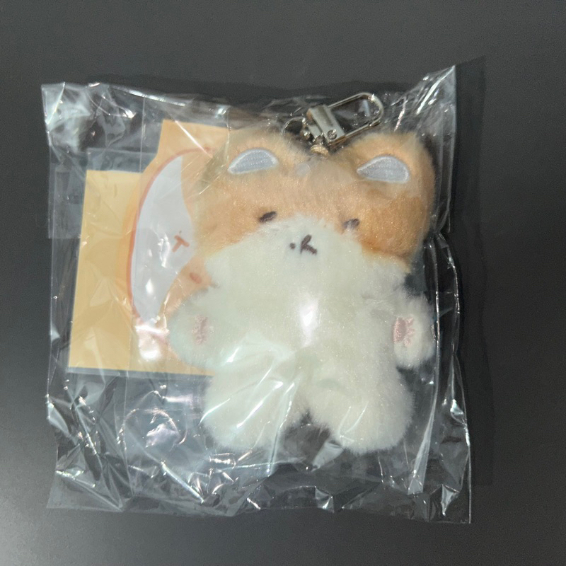TEOLAEGI KEYRING BY BAEKHYUN EXO DENGAN PHOTOCARD
