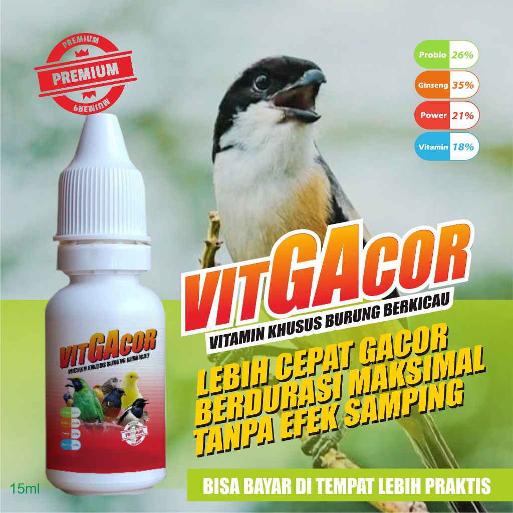 VIT GACOR SPESIAL CENDET CEPAT GACOR NGEROLL FIGHTER