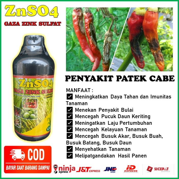 PUPUK PENCEGAH PENYAKIT PATEK CABE - ZnSO4 GAZA ZING SULFAT Pupuk Mengatasi Penyakit Patek Tanaman C
