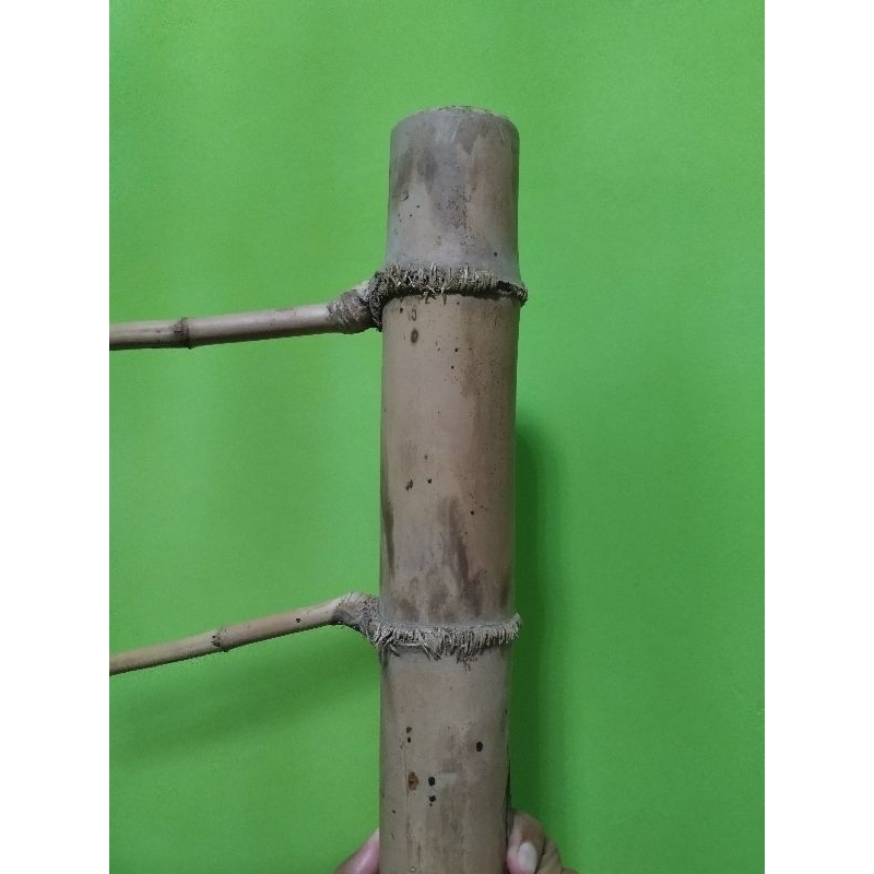 Bambu Petuk Hias