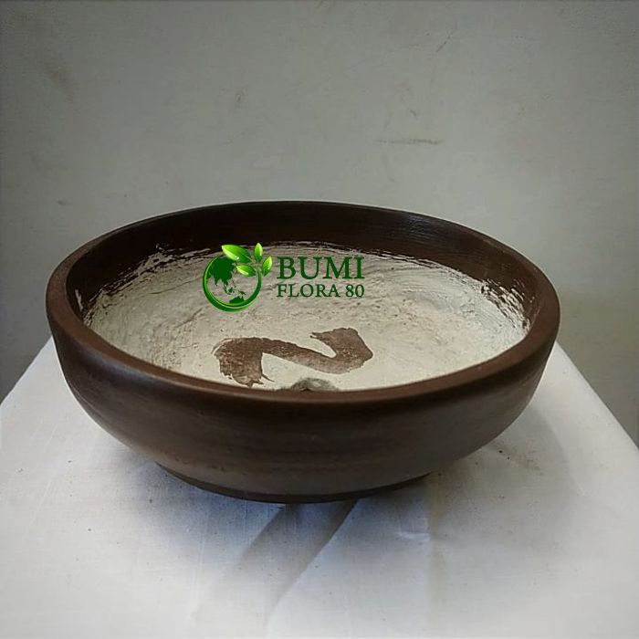 pot semen bonsai bulat/pot bonsai/pot semen bonsai
