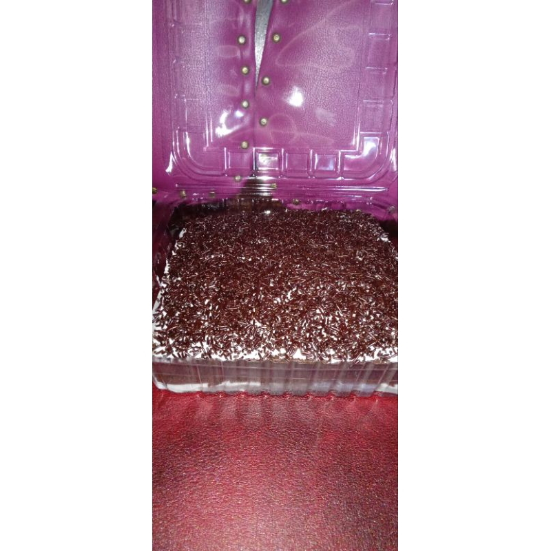 

browniskukuscoklat
