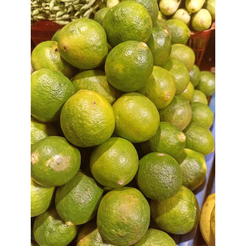 

Jeruk Nipis fresh tersedia di pasar Senen 500gram