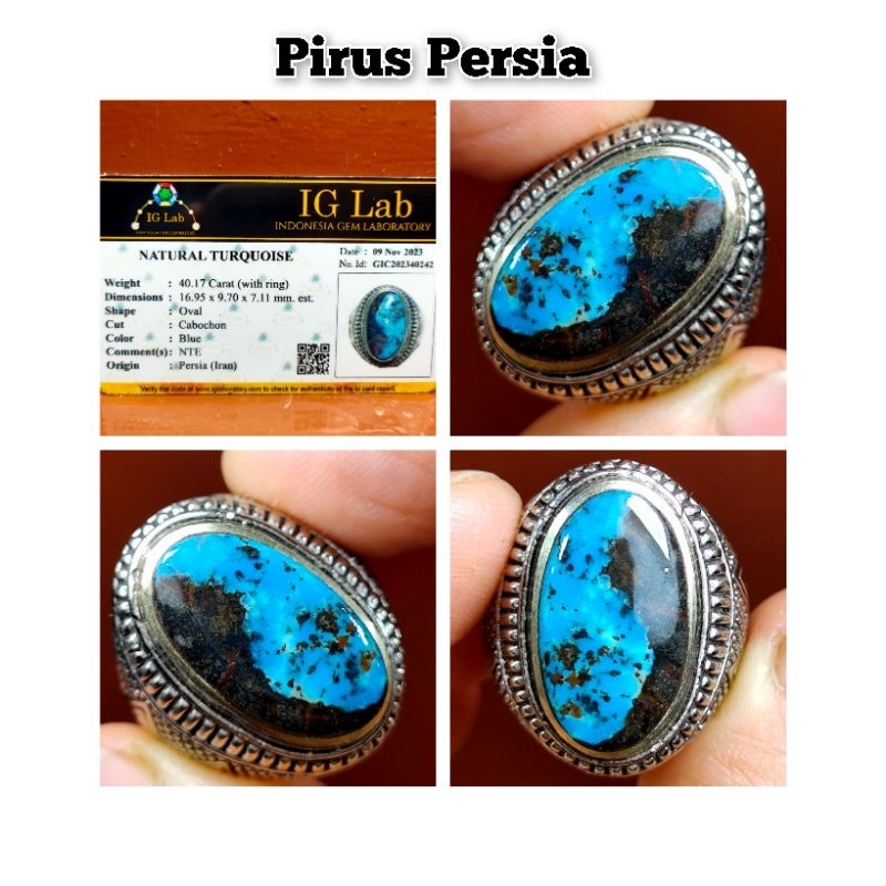 PIRUS PERSIA MOTIF YINYANG