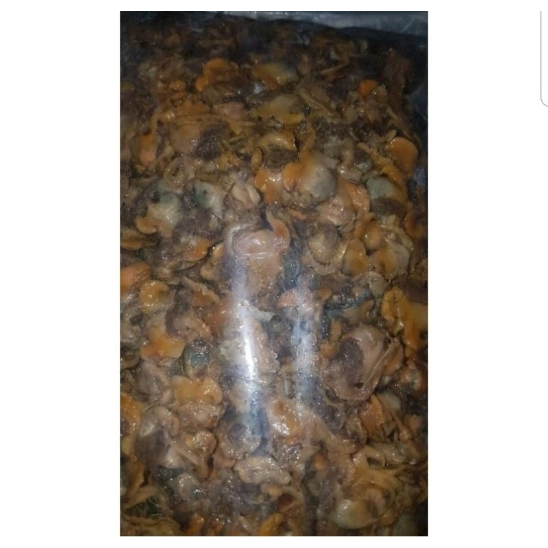 

kerang dara kupas harian 1 kg