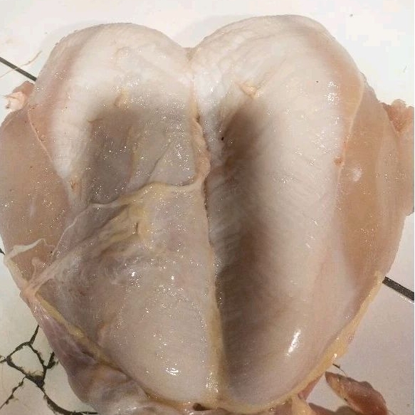 

fillet ayam parent fresh