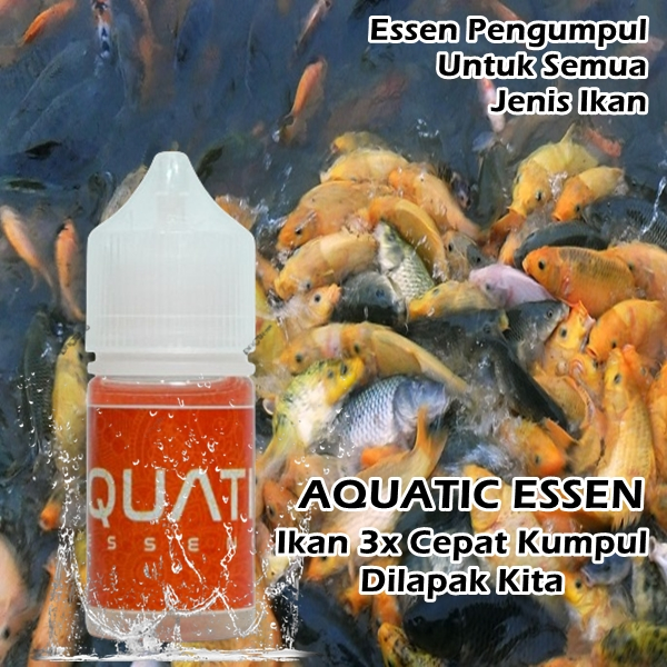Aquatic Essen Khusus Pengumpul