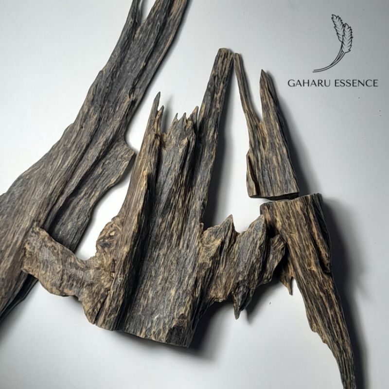 Chip Bakar Kayu Gaharu Beccariana Superking Tenggelam