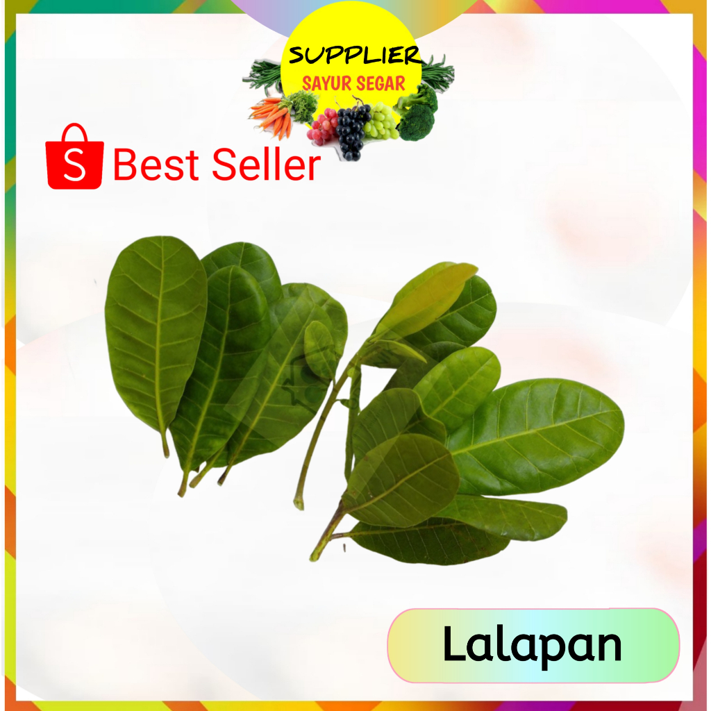 

Lalapan Jambu Monyet Per Ikat - Supplier Sayur Sayuran Mayur Segar Online Palembang