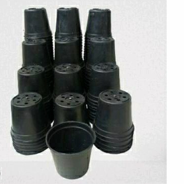 Pot tanaman warna hitam bekas