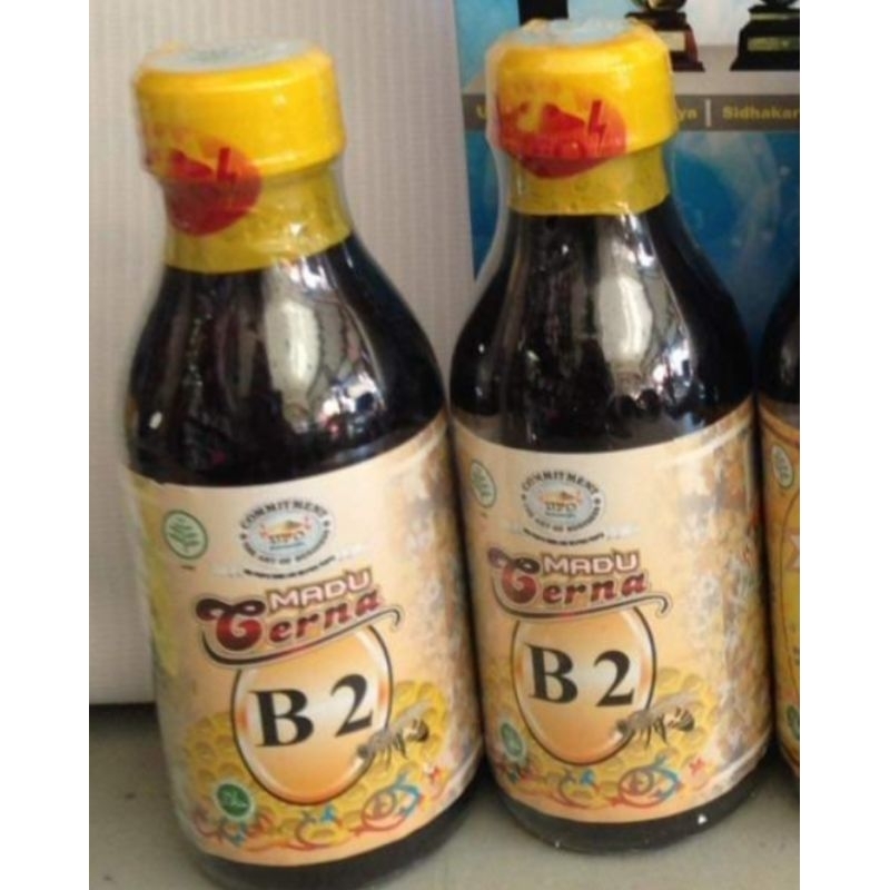 

Madu Cerna B2 UFO (Pengobatan Asam Lambung, Maag dll)