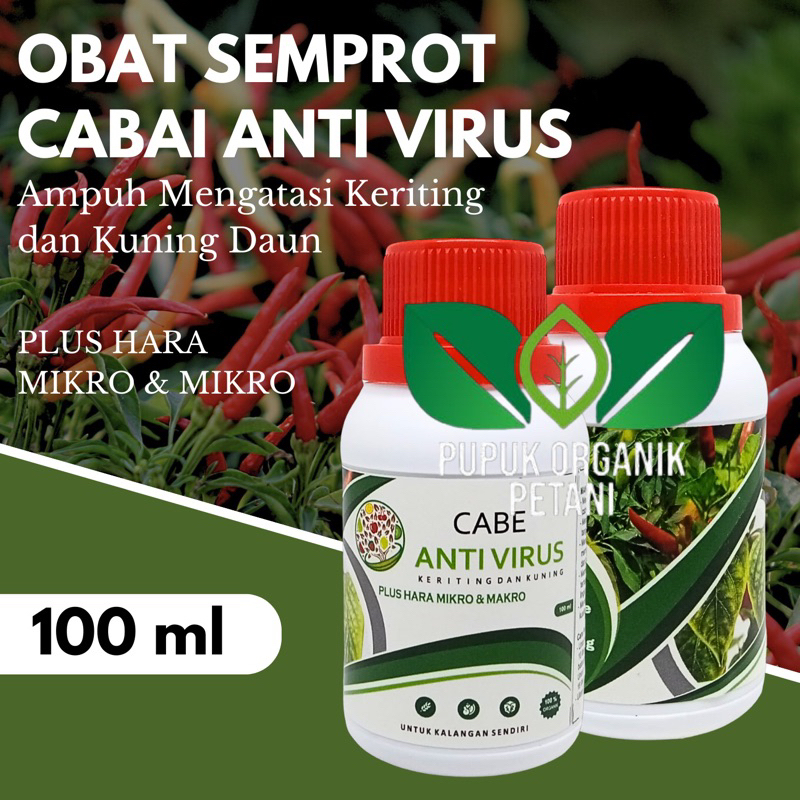 Pupuk cabai obat semprot anti virus kriting pupuk organik bulai cabai / Cabe ,Pupuk Organik Cabai an