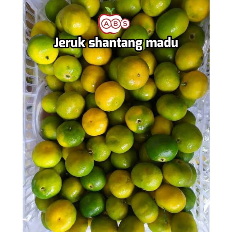 

Jeruk shantang madu hijau 1kg Jamin maniss