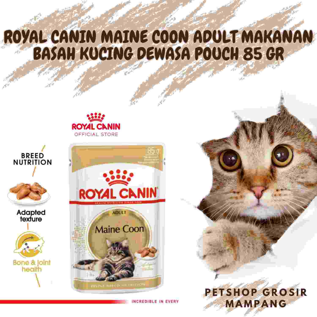 Royal Canin Makanan Basah MAINE COON ADULT WetFood Mainecoon 85 gr