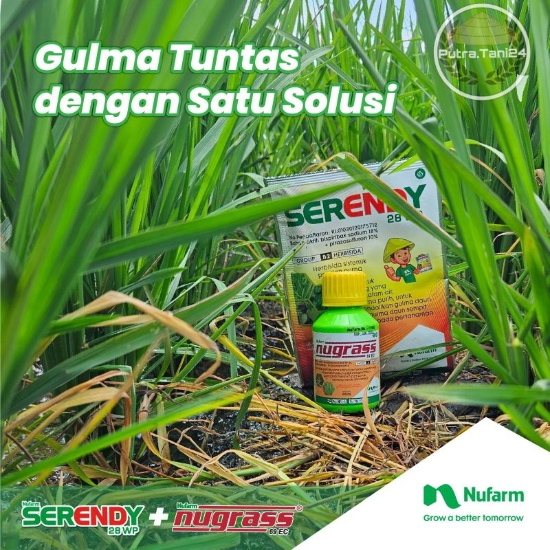 Nugras dan serendy ,Herbisida selektif untuk padi gogo dan sawah