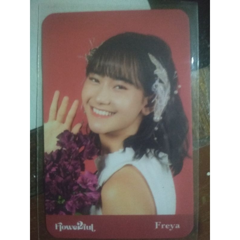 Photocard Pc Freya Jkt48 Flowerful (Official)