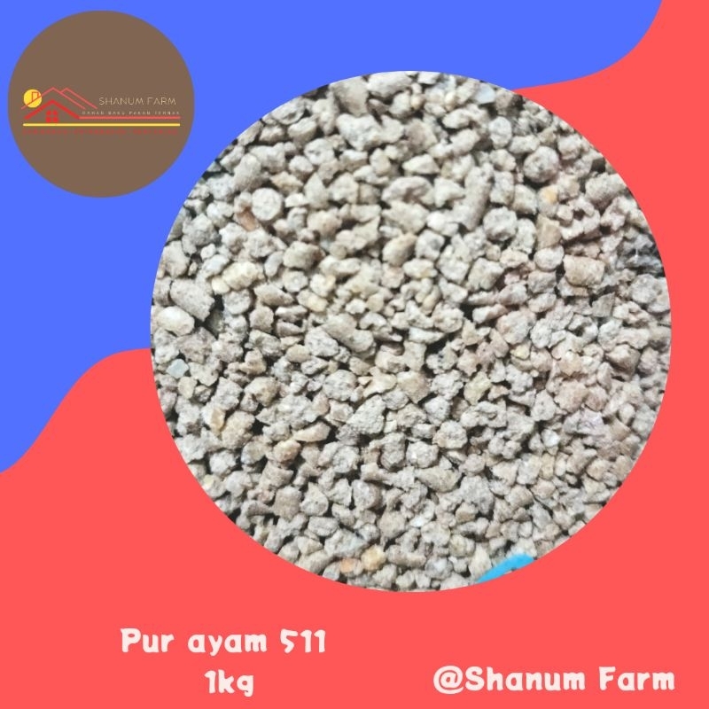 511 Pur ayam anakan pitik 1kg