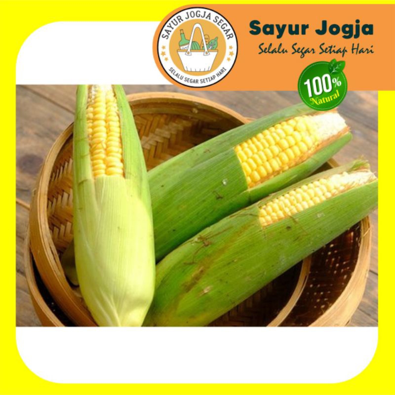 

JAGUNG MANIS SEGAR 1 kg