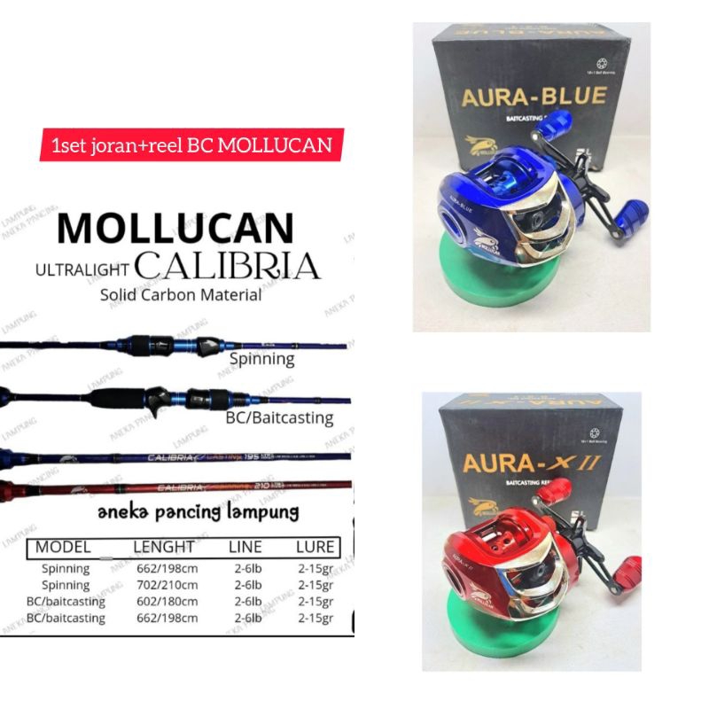 1 SET REEL BC MOLLUCAN AURA+JORAN MOLLUCAN CALIBRIA