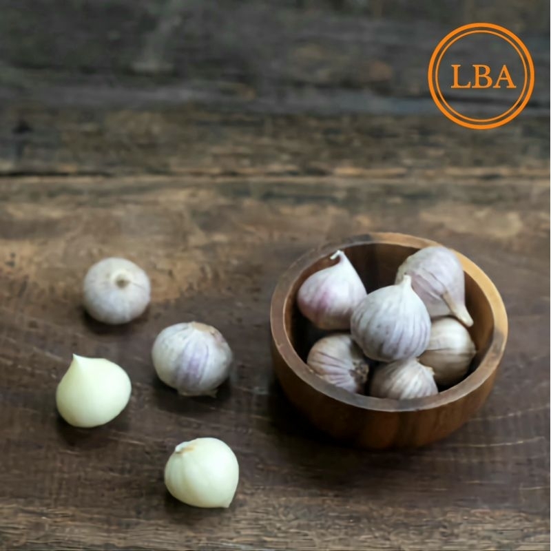 

Bawang Putih Tunggal Ukuran Medium 1 Kg