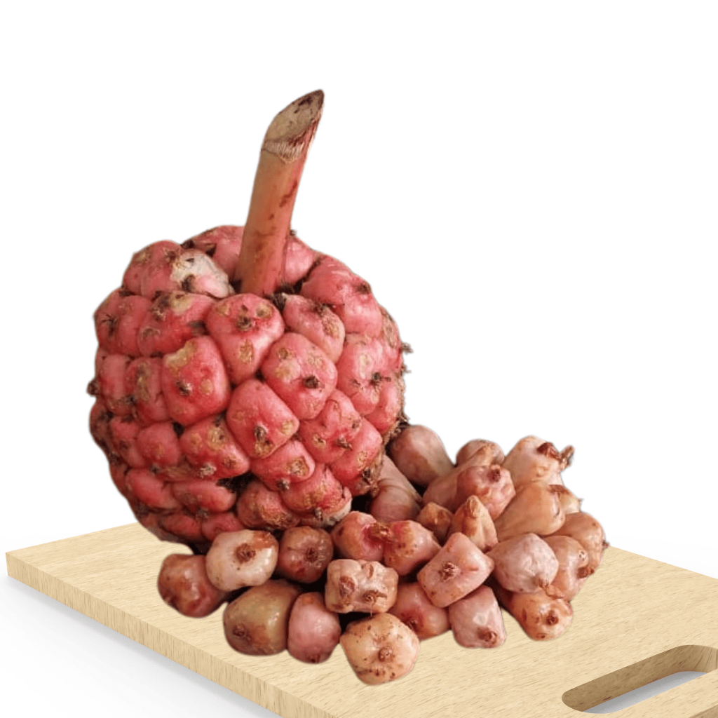 

Buah Honje / Kecombrang 1kg