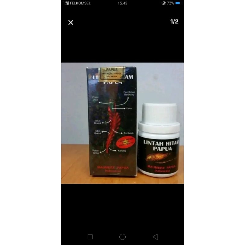 minyak lintah asli papua