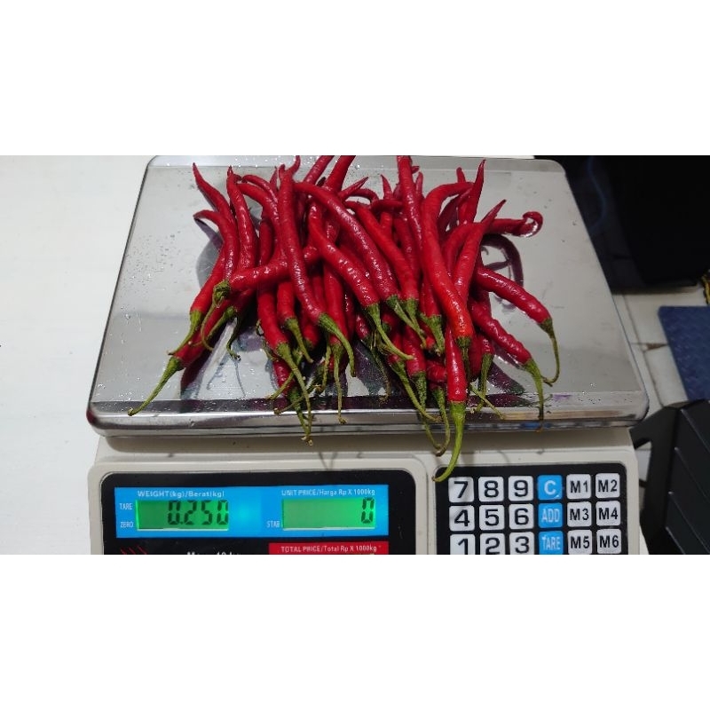 

Cabe merah segar pilihan 50 gram & 100 gram