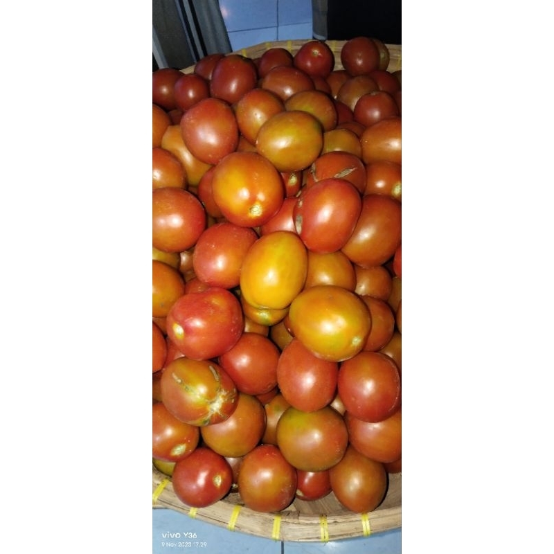 

Tomat buah 500 g