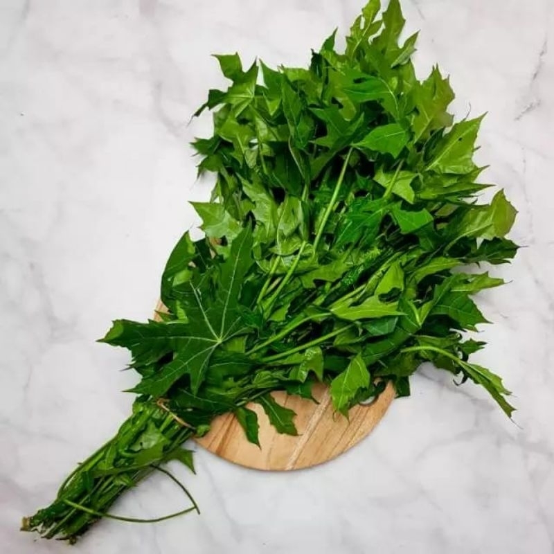 

Daun Pepaya Jepang 1 Ikat