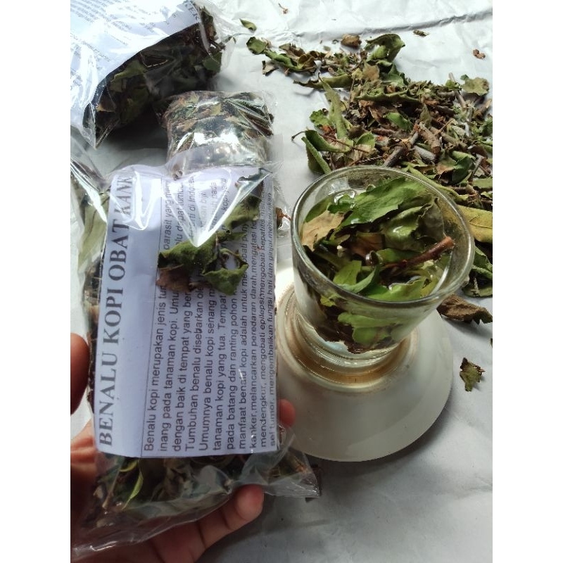 BENALU KOPI KERING 100 GRAM / BENALU KOPI MURNI DAN ALAMI / TEH BENALU KOPI / OBAT KANKER