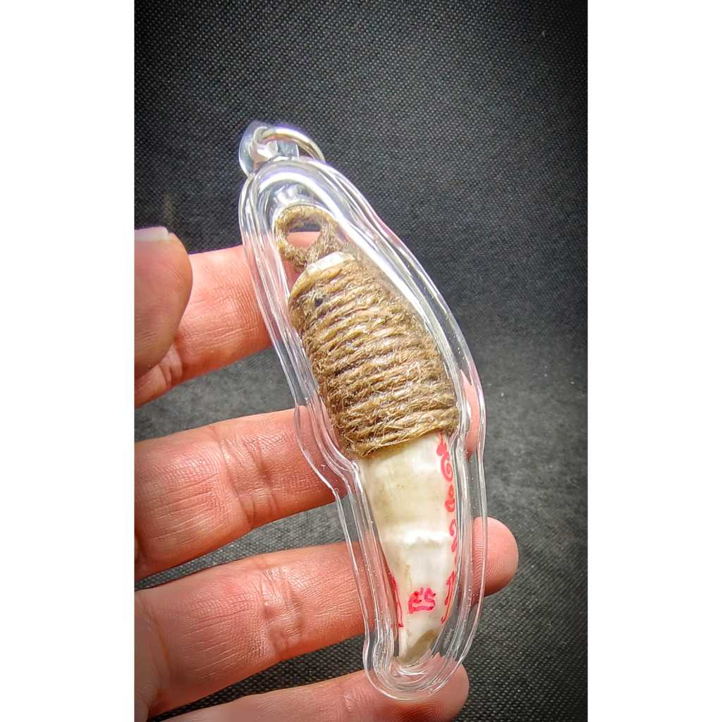 Rare and best Kiew Jorakae Payawan by ajhan tim B.E. 25001