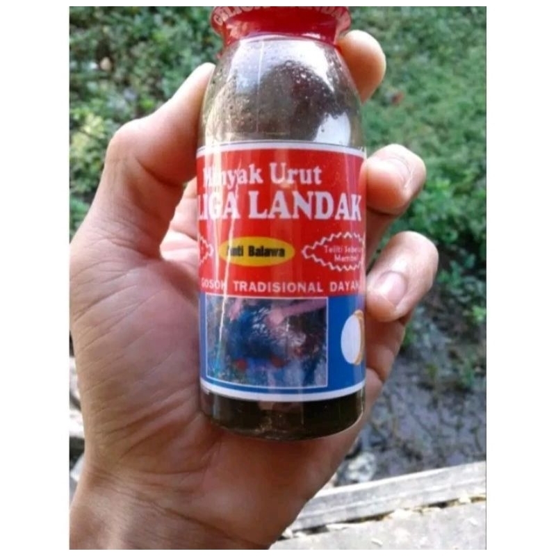 MINYAK URUT GELIGA LANDAK