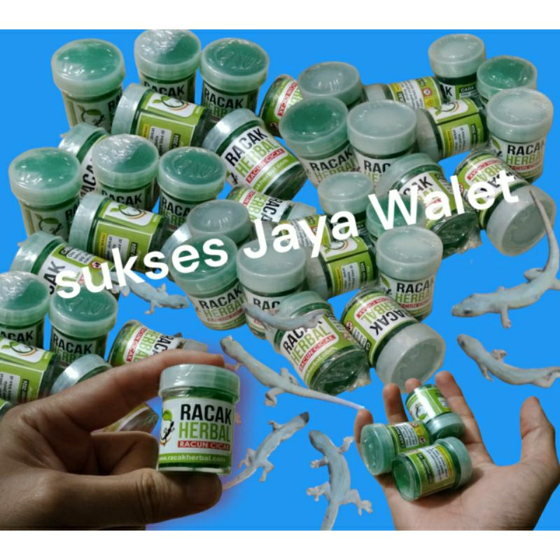 Racun Cicak dan Tokek