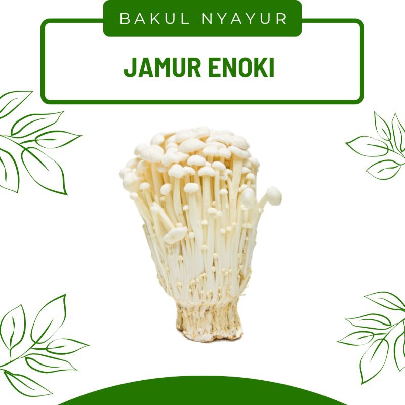 

Jamur Enoki Pack