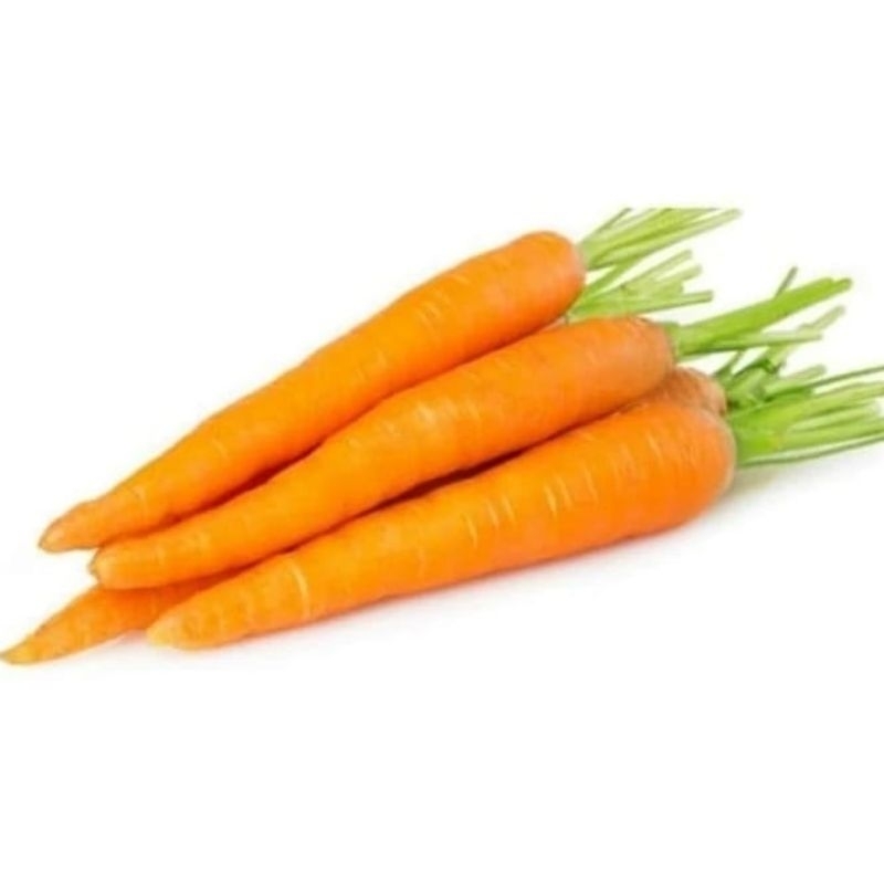 

WORTEL LOKAL | SAYUR MURAH| SAYUR FRESH