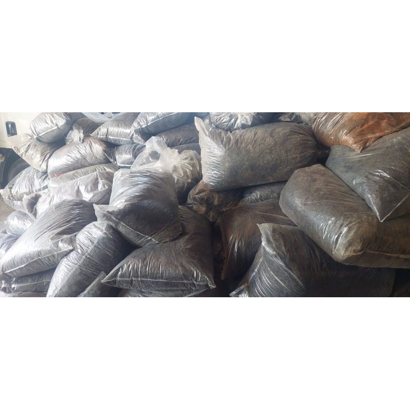 PAKET USAHA RUMPUT LAUT/ REMAHAN NORI 1 BALL 100KG