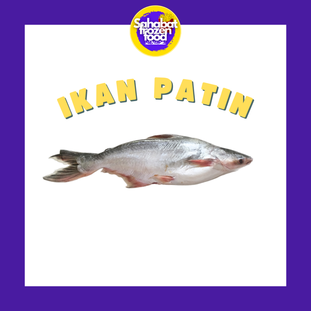 

Ikan Patin / Ikan Segar Patin