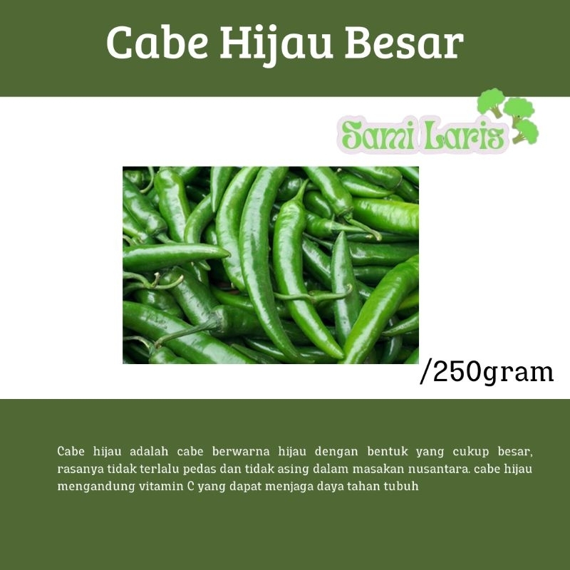 

Cabe Besar Hijau