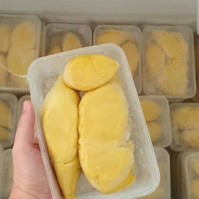 

DURIAN MONTHONG SULAWESI