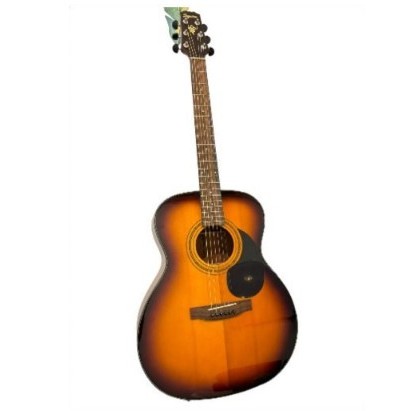 Gitar Akustik Elektrik Segovia NG100 Fishman Top Solid Segovia Original